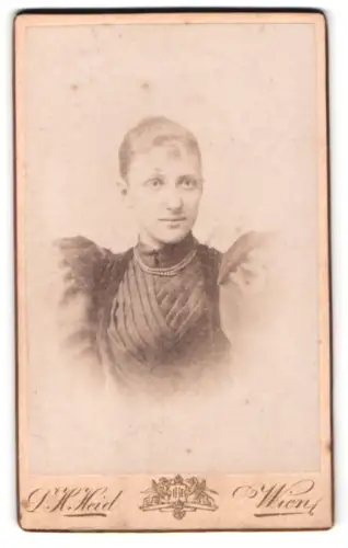 Fotografie D. H. Heid, Wien, Landstrasse Hauptstrasse 33, Porträt einer Frau in elegantem Kleid