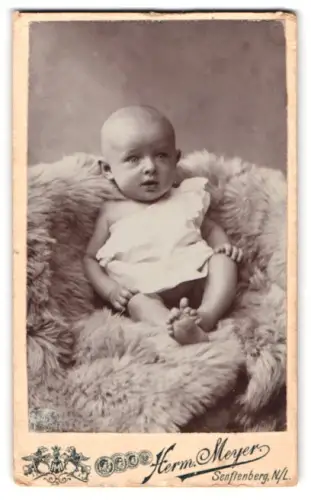 Fotografie Herm. Meyer, Senftenberg /N.L., Promenade 2, Porträt des Kleinkindes Herbert