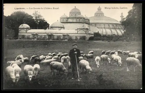 AK Laeken, Les Serres du Château Royal