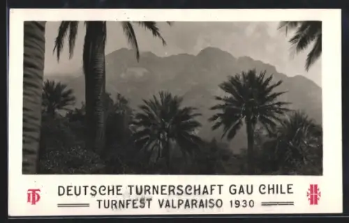 AK Valparaiso, Turnfest Deutsche Turnerschaft Gau Chile 1930, Ocoa-Tal mit Palmen und Gebirge