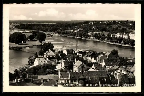 AK Crossen /Oder, Blick vom Weinbergsweg, Oderpartie