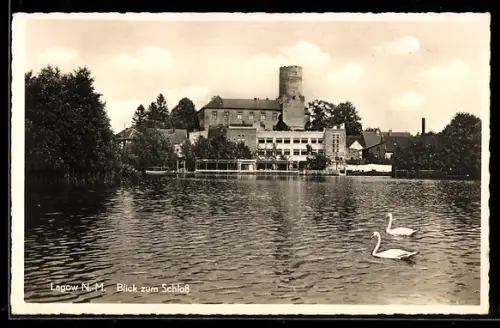 AK Lagow /N.-M., Blick zum Schloss
