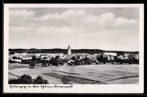 AK Zielenzig /Kurmark, Ortsansicht mit Kirche