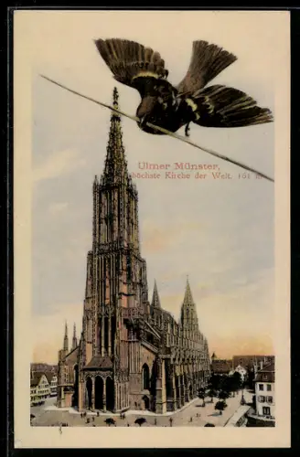 AK Ulm, Ulmer Münster