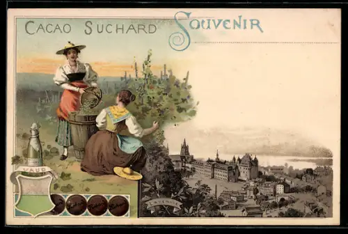Künstler-AK Lausanne, Teilansicht der Stadt, Traubenernte, Reklame für Cacao Suchard