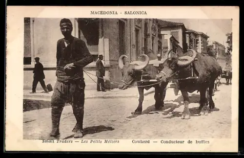 AK Salonica, Les Petits Métiers, Conducteur de buffles