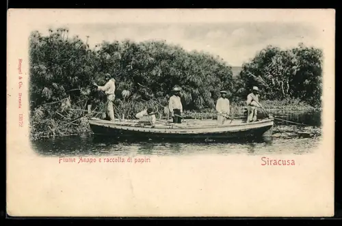 AK Siracusa, Fiume Anapo e raccolta di papiri