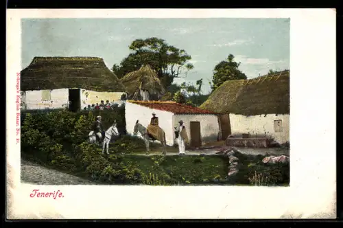 AK Tenerife, Ortsansicht mit Reetgedeckten Häusern