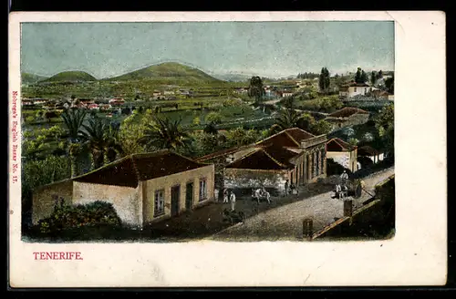 AK Tenerife, Blick auf Gehöfte in grüner Landschaft