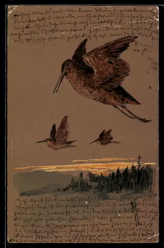 AK Schnepfen im Flug