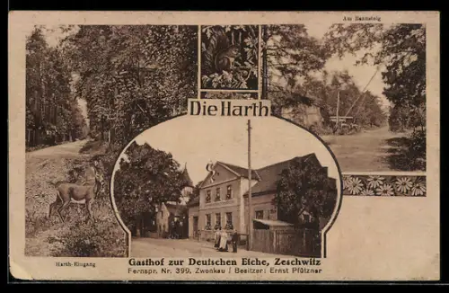AK Zeschwitz /Zwenkau, Gasthof zur Deutschen Eiche, Bes. Ernst Pfützner, Harth-Eingang, Partie am Rennsteig