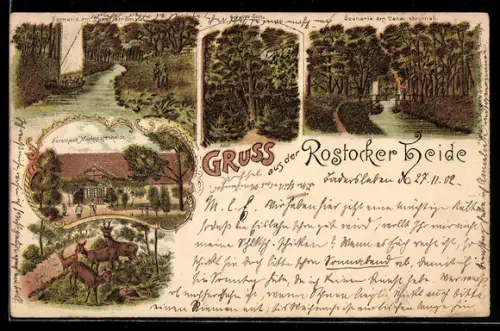 Lithographie Rostock, Rostocker Heide, Borwins-Eiche, Partien am Kanal und Forsthaus Markgrafenheide