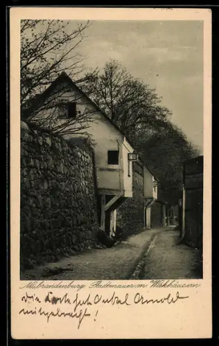 AK Neubrandenburg, Stadtmauer mit Wiekhäusern