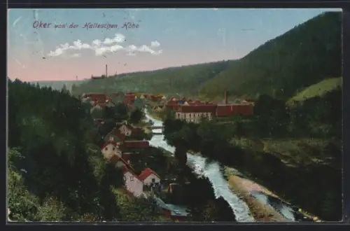 AK Oker, Blick von der Halleschen Höhe, Fluss, Fabrik, Ortsansicht