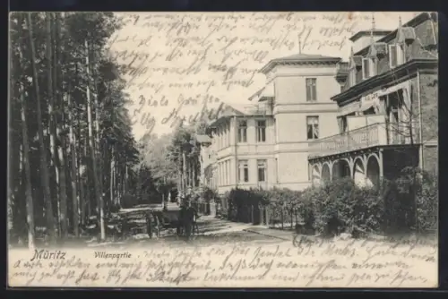 AK Müritz, Villen mit Strasse u. Wald