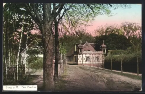 AK Burg b. M., Der Brehm, Gebäude mit Türmchen, Strassenpartie