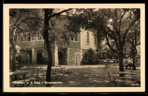 AK Diesbar / Elbe, am Restaurant Rosengarten