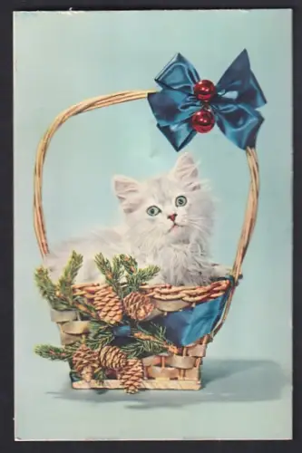 Geräusch-AK Niedliche weisse Katze in einem Körbchen