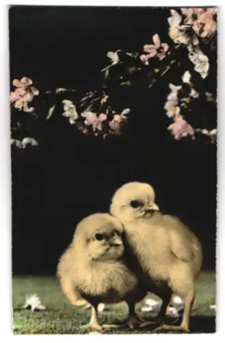 Geräusch-AK Zwei Küken stehen unter einem Zweig