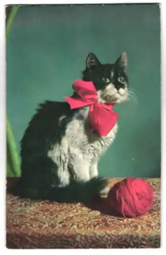 Geräusch-AK Niedliche Katze mit roter Schleife und Wollknäuel