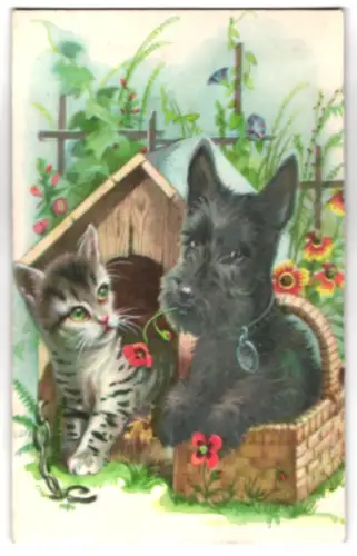 Geräusch-AK Katze sitzt in einer Hundehütte neben einem Hund in einem Körbchen