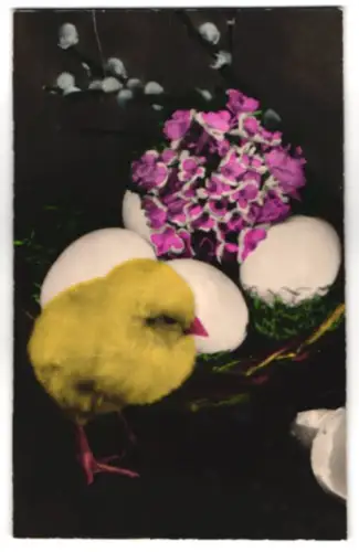 Geräusch-AK Küken steht neben einem Nest mit Eiern