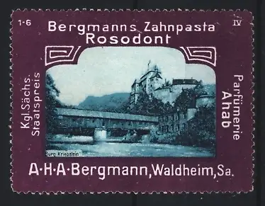 Reklamemarke Waldheim /Sa., Bergmanns Zahnpasta Rosodont, Burg Kriebstein
