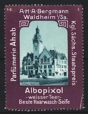 Reklamemarke Waldheim i. Sa., Albopixol Haarwasch-Seife, Rathaus Waldheim