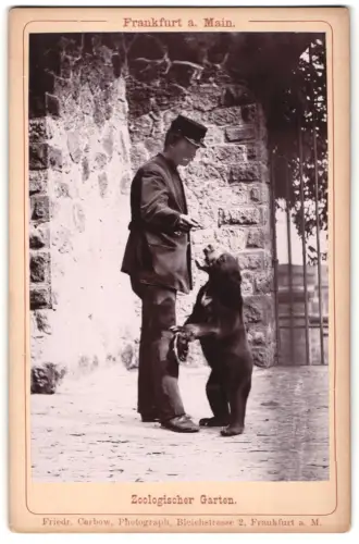 Fotografie Friedr. Carbow, Frankfurt / Main, Ansicht Frankfurt / Main, Zoowärter mit Malaienbär Junges beim Füttern 1891