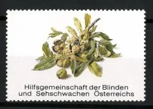 Reklamemarke Österreich, Hilfsgemeinschaft der Blinden und Sehschwachen, Zweig mit Blättern