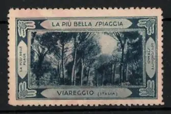 Reklamemarke Viareggio, La Più Bella Spiaggia, Pinienwald-Szene