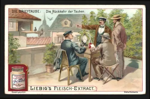 Sammelbild Liebig, Brieftaube, Rückkehr der Tauben