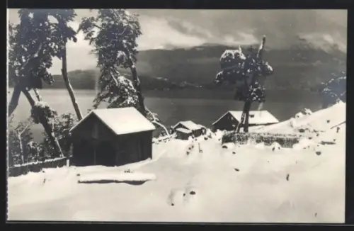 AK El Correntoso, Invierno