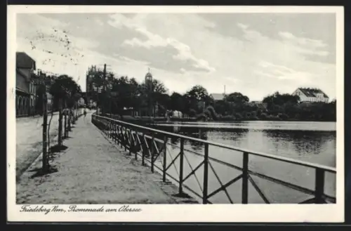 AK Friedeberg /Nm., Promenade am Obersee