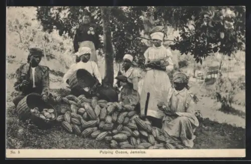 AK Jamaica, Pulping Cocoa