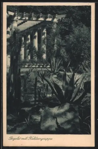 AK Liegnitz, Deutsche Gartenbau- und Schlesische Gewerbe-Ausstellung im Jahr 1927, Pergola mit Kakteengruppe
