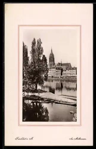 Foto-AK NPG Nr. 11: Frankfurt a. M., Partie am Müllermain