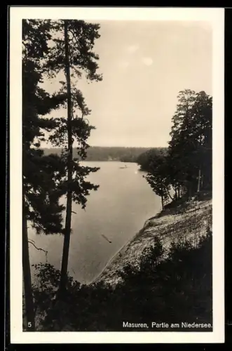 AK Niedersee /Masuren, Uferpartie mit Seeblick