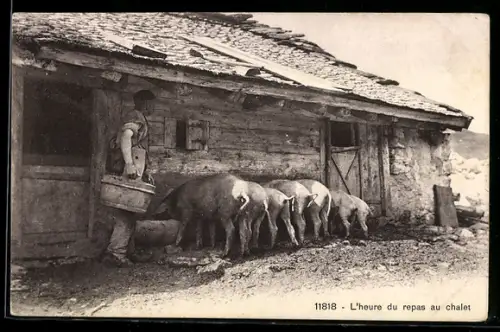 AK Schweizer Bauer füttert seine Schweine