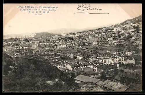 AK Vladivostock, Birds eye view of the city