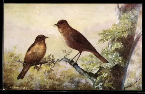 Künstler-AK Nightingales, Nachtigallen-Paar auf einem Ast