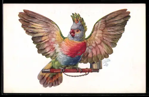AK Papagei schlägt mit den Flügeln, Pretty Polly
