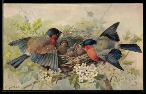 Künstler-AK Vogelpaar bringt dem Nachwuchs Futter