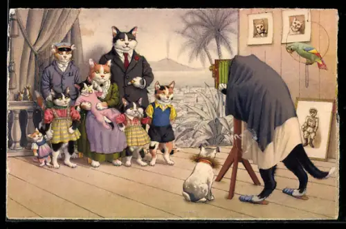 AK Katzenfamilie posiert für Familienfoto