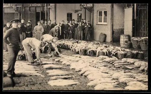 AK Ostende, Le marché aux poissons