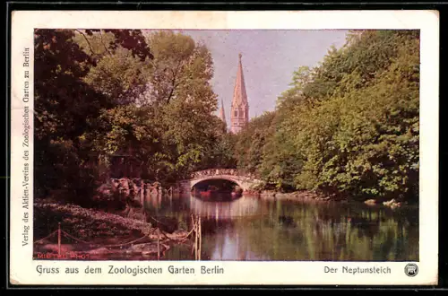 Künstler-AK Berlin, Zoologischer Garten, Neptunsteich mit Brücke