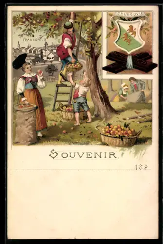 Lithographie Frauenfeld, Apfelernte im Ort, Reklame für Suchard Schokolade