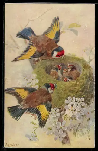 AK Birds and their nests, Vögel an ihrem Nest