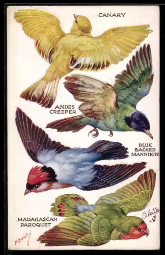 AK Kanarienvogel, Papagei und weitere Vögel