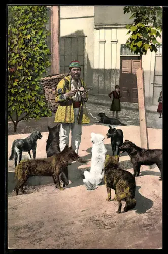 Künstler-AK Constantinople, Les Chiens de Rue